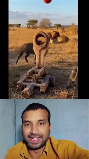 🦁 Lion vs Monkey & Warthog: Ultimate Revenge! 😂