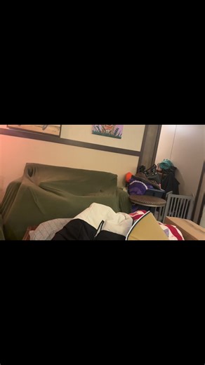 Lewis the Pittie on Instagram: "Well, Lewis has officially made a secret tunnel through the couch cover. Side note, anyone got durable couch cover recommendations? 😂 *ignore my I had no power for 7 days laundry collection 😅 #pittie #pitbull #boxer #secrettunnel #cute #funny #naughty #dog #puppy"