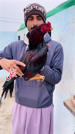 Understanding Electricity: Key Concepts and Insights