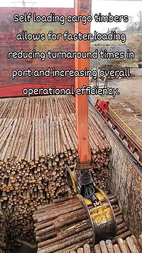 77K views · 556 reactions | #drivingcargohandler #selfloading #cargotimbers #seamanlifeonboard #reelsvideoシfyp | Sonny Cariño Valdez | Facebook