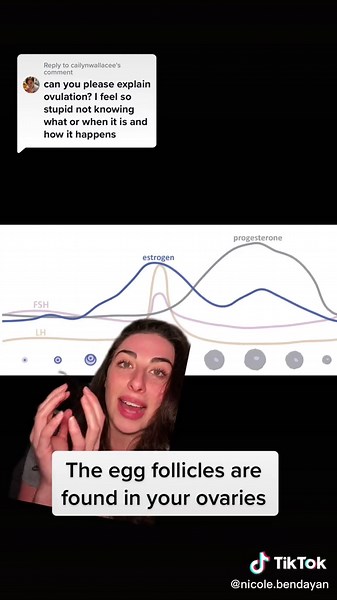 Understanding Ovulation: A Comprehensive Guide for Women