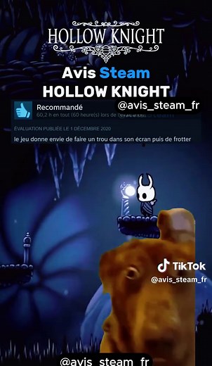Critique humoristique de Hollow Knight
