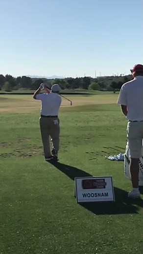 Ian Woosnam - DTL Iron