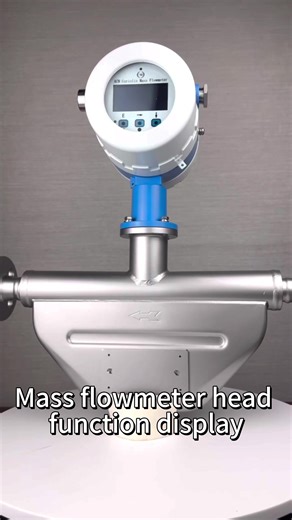 Mass Flowmeter Head: Instantaneous Flow Measurement