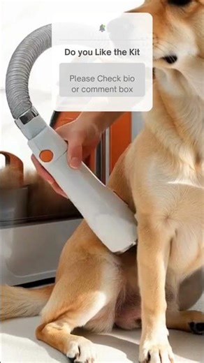 This Dog Grooming Vacuum Makes Shedding So Easy 🐶