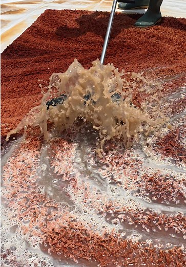 Transforming a Filthy Rug into Sparkling Clean