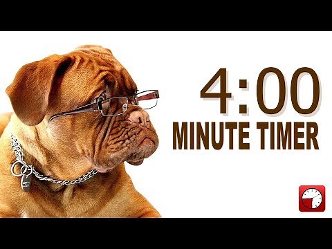 4 Minute Timer for PowerPoint and School - Alarm Sounds with Dog Bark