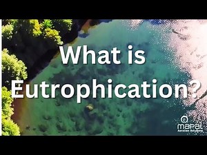 What is Eutrophication?