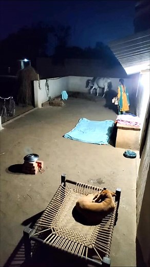 7.9M views · 28K reactions | No one noticed the figure standing behind | #trendingnow #mystery #viralreelsシ Fictional CCTV scene created using AI. For entertainment only — nothing real here | Devil's night with dharmendra | Facebook