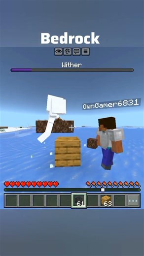 Java vs bedrock Withers #minecraft