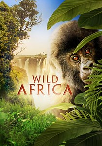 Wild Africa streaming: where to watch movie online?