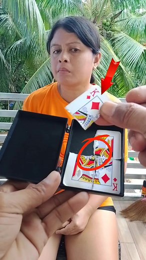 98K views · 319 reactions | Card & Magic box | Sunnybird Bird | Facebook
