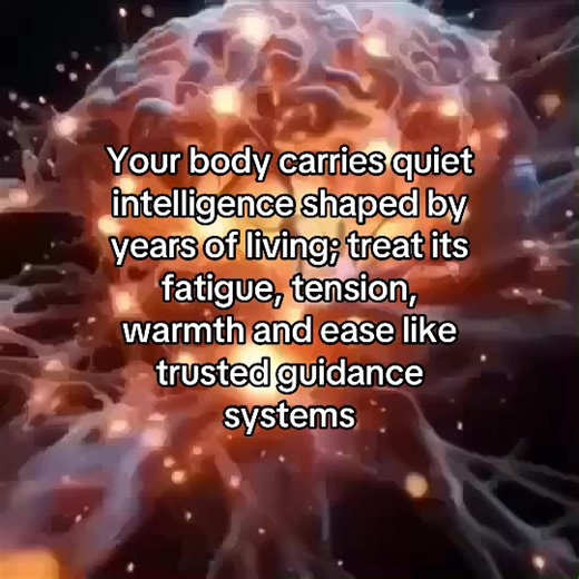 Understanding Your Body's Quiet Intelligence