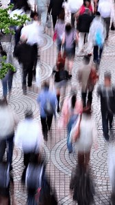 Time Lapse People Walking Along Crowded Stock Footage Video (100% Royalty-free) 3654439499 | Shutterstock
