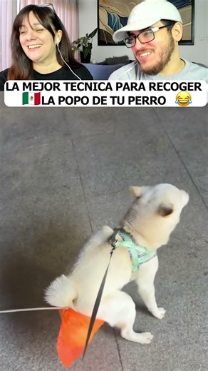 THE BEST TECHNIQUE FOR PICKING UP YOUR DOG'S POOP... MEXICAN HUMOR #shorts #humor