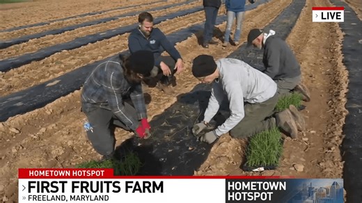 Hometown Hotspot: First Fruits Farm