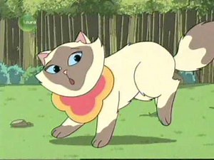 Sagwa | Episódio 16 | Os gatos ciganos
