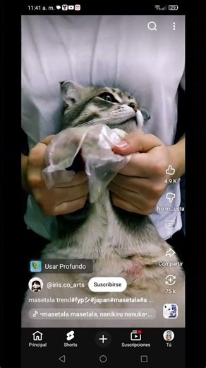 𝕟𝕦𝕖𝕧𝕠 𝕤𝕠𝕟𝕚𝕕𝕠