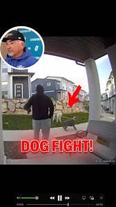 It’s easy to panic in moments like this. 🐶⚡ In this Cesar Reacts, I explain why emotional frustration doesn’t help a dog disengage. Calm leadership with early timing does. The dog wasn’t bad, the reaction was simply too late. 👉 Watch more videos like this on my YouTube channel! #CesarReacts Es fácil entrar en pánico en momentos como este. 🐶⚡ En este video de Cesar Reacts, explico por qué la frustración emocional no ayuda a un perro a desconectarse. Lo que sí ayuda es el liderazgo en calma, y 