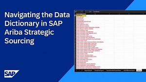 Navigating the Data Dictionary in SAP Ariba Strategic Sourcing