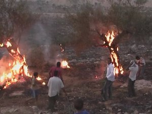 Watch 5 BROKEN CAMERAS Online | Vimeo On Demand