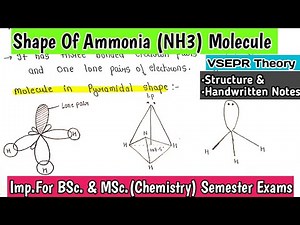 Shape Of Ammonia (NH3) Molecule By VSEPR Theory | Covalent Bond | #bscnotes