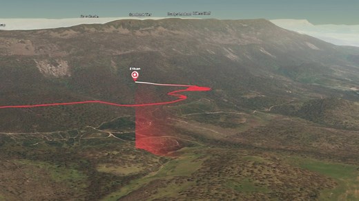 Wedge-tailed eagle footage