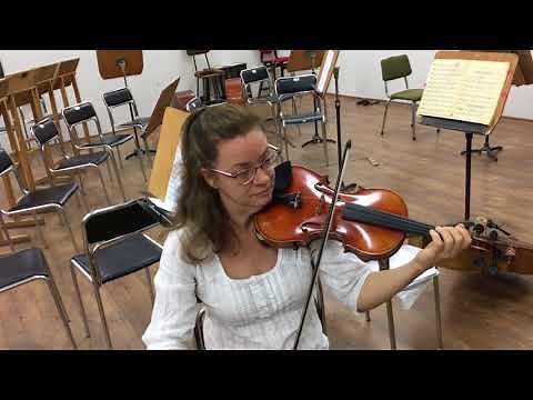 Цигулка - устройство, щрихи, интересни факти