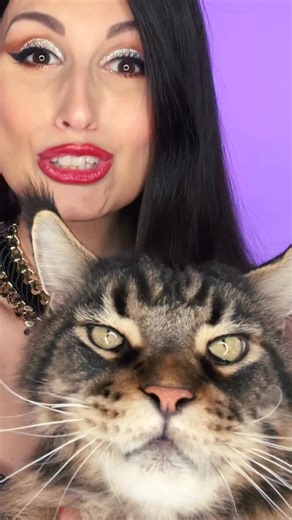 Elsa Œsinger on Instagram: "🎵Tu finiras seule, bouffée par tes chats ! 🎤 Bon appétit @cesarbigcat 😜🥰 #newsong"