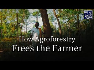 How Agroforestry Frees the Farmer – Sadhguru