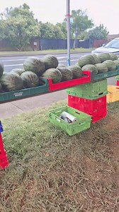 Bukin warkworth Zamunda are kaukia watermelon ao pumpkin Iaki tuangko kona bon tuangko | LESS GO
