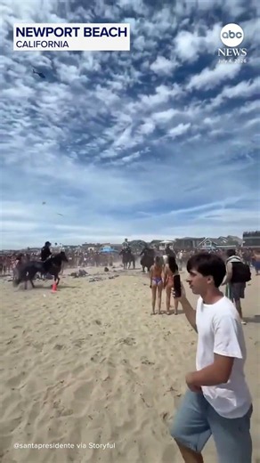 Mounted police officers clashed with a large group as thousands gathered for July 4 celebrations