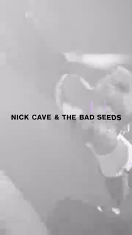 32K views · 651 reactions | Nick Cave & The Bad Seeds – The Wild God...