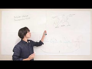 2.8 Singular Value Decomposition (SVD)