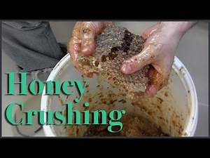 Spring Honey Harvest Crush and Strain in action
