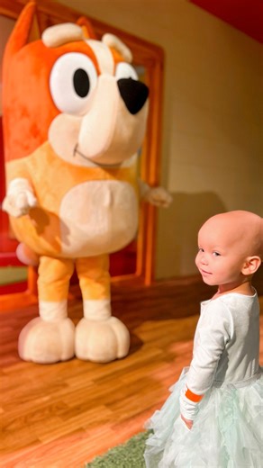 98K views · 11K reactions | Lilah LOVED meeting Bluey and Bingo today. You should’ve seen her face when we first walked in. She was so HAPPY!! But I might have created a problem.. she now wants to go back and play with them again. She BAWLED her eyes out when we had to say goodbye. The tickets are $25/person over the age of 23 months. So if you would like to help fund Lilahs next trip to meet bluey and bingo, you can send me a Venmo KBphotos16 ❤️ | Stand With Lilah | Facebook