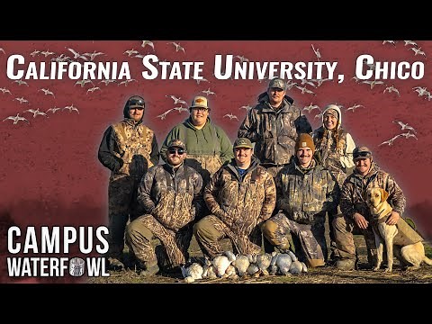 California Goose Hunting with Chico State and Northern Flight Duck Club