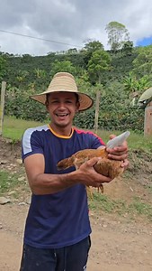 16K views · 6K reactions | Atrape una gallina con una hoja de papel  #Campo #DiegoDiaz | Diego Diaz | Facebook