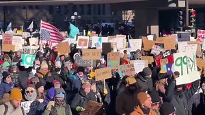 OMG! who did this? LOL | Sam,Matilda and Henry The Savvy Dachshunds