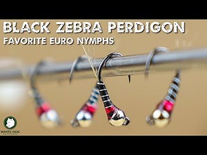 Black Zebra Perdigon - Favorite Euro Nymphs - Fly Tying