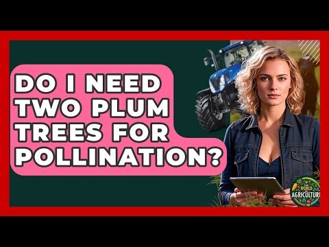 Do I Need Two Plum Trees For Pollination? - The World of Agriculture