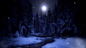 自然 冬 風景 - Free video on Pixabay