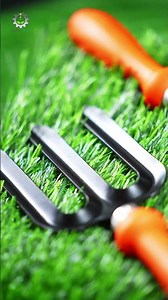 Falcon Garden Tools | 5 piece Gardening Tool set