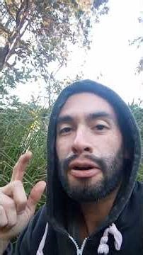 ¿Cuál es el propósito de la vida? ¿Por qué existimos? #cualeselpropositodelavida #porqueexistimos