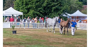 National de l'Obstacle 2022: le film d'une belle première sur l'hippodrome du Pin-au-Haras