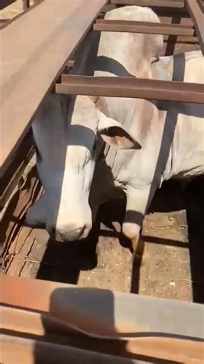 15 de março de 2026