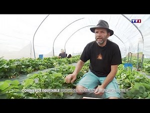 TF1 JT 20H commerce équitable made in France