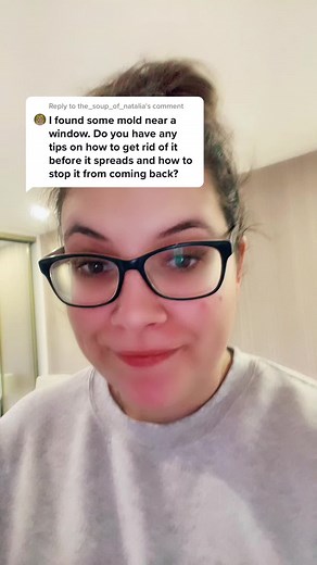 Effective Tips for Mould Removal from Window Seals