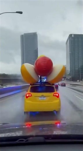 Police Chase a Hot Dog Car! 😳🌭🚓