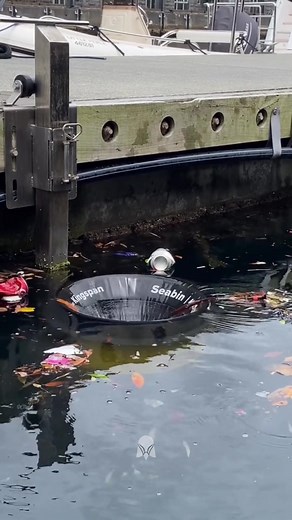 Ocean Cleaner: Real Solutions for a Cleaner Sea